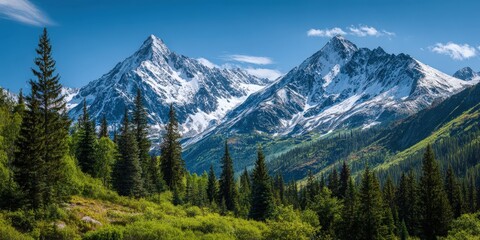 Snow-Capped Mountains Over Lush Green Alpine Meadow Under Blue Sky