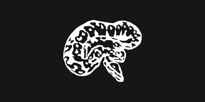 Python T Shirt Vector Design for Programmers and Coding Enthusiasts
