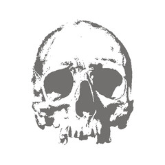 Realistic Skull Drawing T Shirt Vector Design with Bold and Detailed Artwork