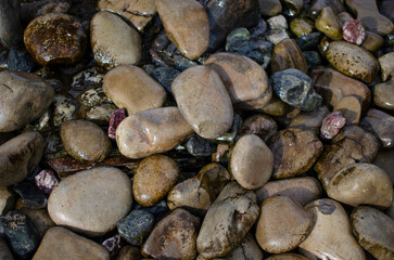 Wet beach stones, background