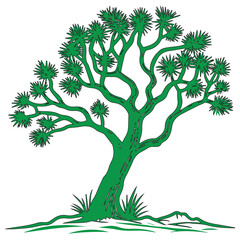 Illustration of a joshua tree isolated on white background, capturing the unique beauty of the desert landscape and the iconic plant life of the american southwest in a simple and elegant design