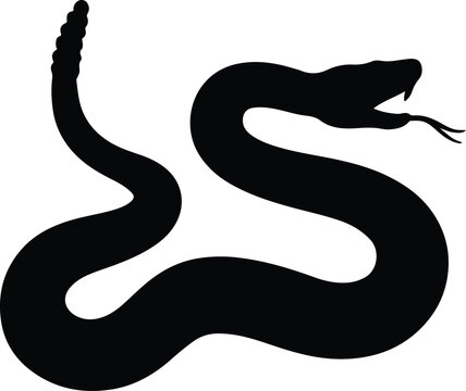 Silhouette rattlesnake striking black vector illustration