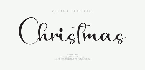 Merry christmas hand lettering calligraphy isolated on white background. Vector holiday illustration element. Merry Christmas script calligraphy
