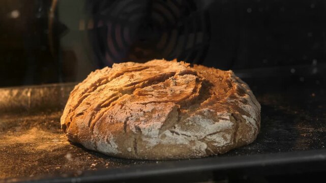 Organic bread baking in oven. Homemade fresh bread. Timelapse. Loaf is raised and baked. Baker bakes food at bakery. Food concept. Close-up in 4K, UHD