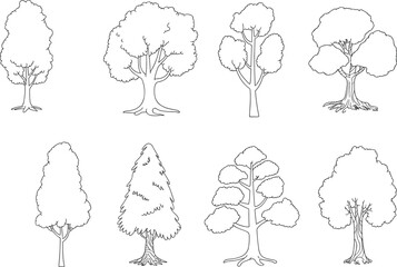 Botanical tree sketches, forest illustrations, nature drawings, foliage collection, black white artwork