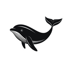  whale silhouette vector vector on whit backwound