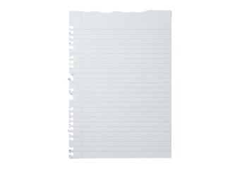 Single sheet of ripped or torn lined notebook paper with a hole punched edge. Isolated on transparent background, png