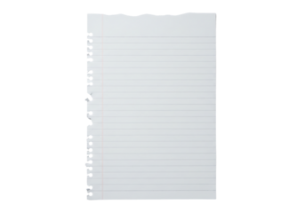 Single sheet of ripped or torn lined notebook paper with a hole punched edge. Isolated on transparent background, png