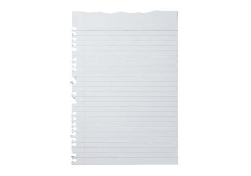 Single sheet of ripped or torn lined notebook paper with a hole punched edge. Isolated on transparent background, png