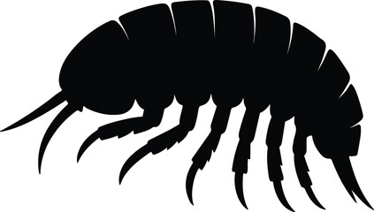 Silhouette woodlouse insect illustration detailed black and white vector Illustrator