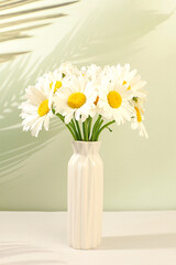 Still life with beautiful chamomile flowers in vase on elegant modern background, summer product advertising banner, abstract floral arrangement, holiday greeting card with space for text