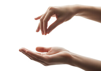 Elegant female hands gesturing, with one palm up and the other sprinkling. Isolated on transparent background, png