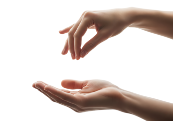 Elegant female hands gesturing, with one palm up and the other sprinkling. Isolated on transparent background, png