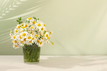 Still life with small chamomile flowers in vase on elegant modern background, summer product advertising banner, abstract floral arrangement, holiday greeting card with space for text