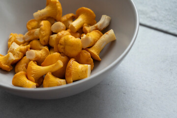A bowl filled with fresh golden chanterelle mushrooms is ready for you to enjoy