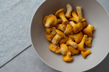 A bowl filled with fresh and vibrant yellow chanterelle mushrooms ready for culinary use
