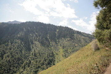mountain landscape in summer