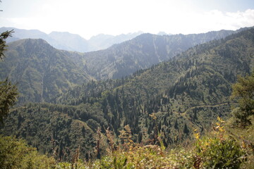 mountain landscape in the mountains