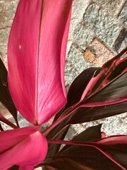 texturas