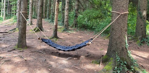 Relaxation and rest in nature, in the fresh air.