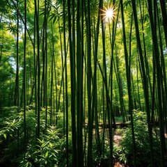 Obraz premium Sun-dappled bamboo stalks, lush green foliage, shadows on forest floor, organic, stock photo, bamboo grove