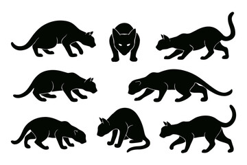 Silhouette of various cats in different poses isolated on white background