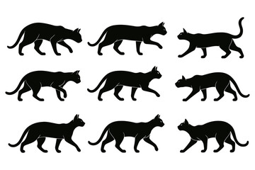 Silhouettes of cats in various walking poses isolated on white background