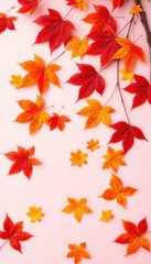 Fototapeta premium Crisp autumn leaves in vibrant reds, oranges, and yellows scattered on a soft pastel pink background, soft, seasonal background