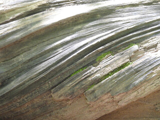 Part of a twisted tree trunk, natural pattern, found within the Shenandoah National Forest,...