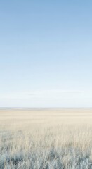 Golden Grassland Under a Pale Blue Sky
