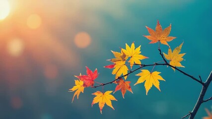 Vibrant Autumn mockup with red maple leaves on sunset - Powered by Adobe