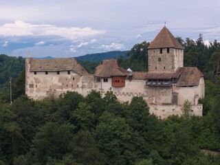 Fototapeta premium Historic castle amidst lush greenery.