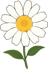 Cheerful daisy illustration with vibrant petals and sunny yellow center for spring designs