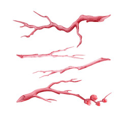 Watercolor set of isolated branches in red and burgundy tones on a white background. Watercolor illustration, hand-drawn. Clipart for the decoration and design of postcards, banners, and invitations.