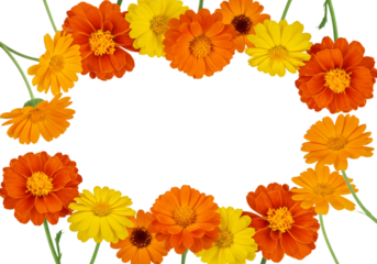 Vibrant Floral Arrangement with Marigolds on Transparent Background, Displaying Bright Orange and Yellow Blooms in a Whimsical Style