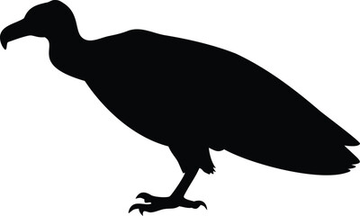 Vulture silhouette showcases ominous presence, perched with its sharp beak and talons visible