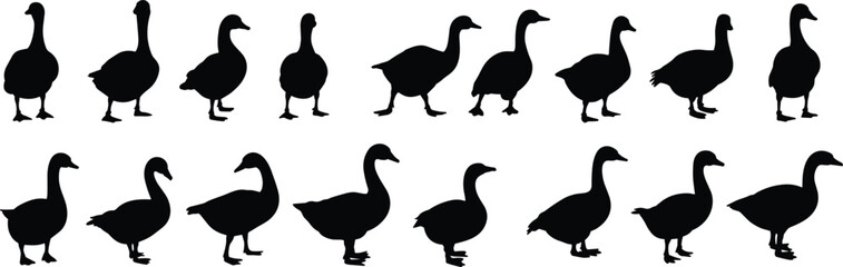 Set of goose silhouettes, black vector icons of geese in walking and standing poses, bird illustration for nature, design, and education