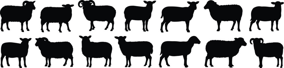 Set of sheep and ram silhouettes, black vector icons, horned and hornless farm animals, livestock poses, wool animal illustration