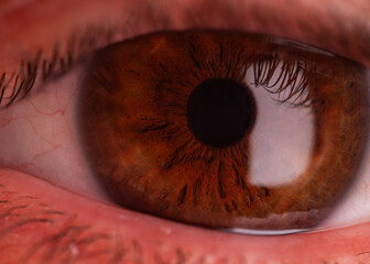 ojo humano ultra macro - ultra macro human eye
