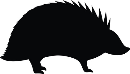 Spiky hedgehog silhouette on white background represents a cute forest animal, and wildlife