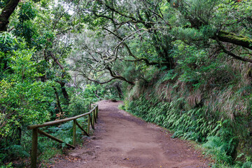 Hiking trail along an irrigation canal on Madeira Island, Portugal. Levada in the mountains of Madeira. Irrigation canal in the mountains.
