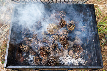 Smoking, smoldering pine cones in a grill as firewood. Burning coals for a grill.