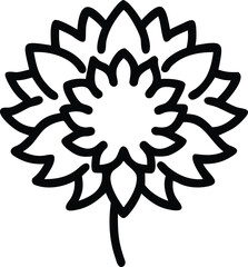 Single black sunflower with distinct petal pattern on white background