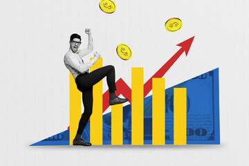 Sketch pop image banner collage of happy businessman receive chart arrow development dollar coin banknote capital income
