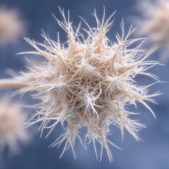 Close-up of a delicate, light beige, spiky sphere