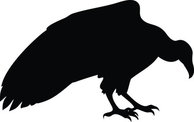 vulture silhouette