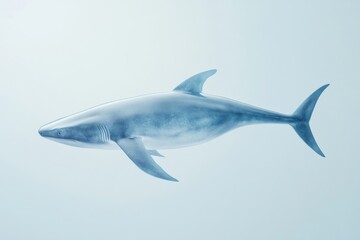 Naklejka premium Realistic depiction of ichthyosaurus dinosaur swimming underwater