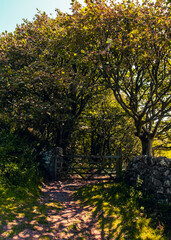 A path leading to a wooden gate, framed by trees and stone walls.