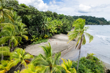 Lush tropical vegetation meeting sandy beach in colombia