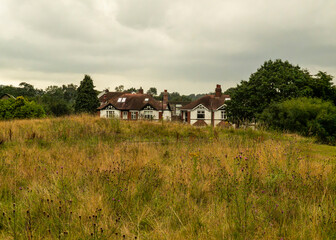 Obraz premium A house in a field of tall grass under a cloudy sky.